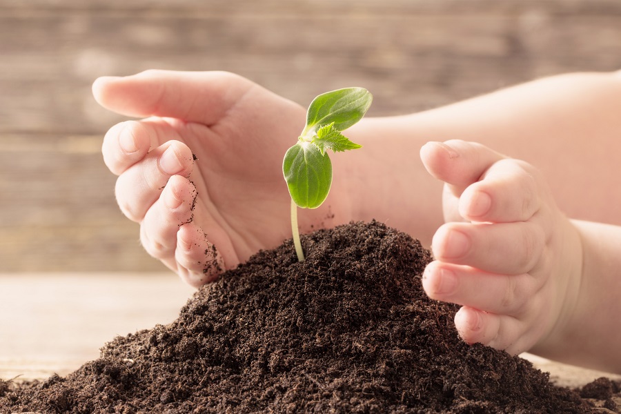 PNRR, Missione 2: Rivoluzione verde e transizione ecologica