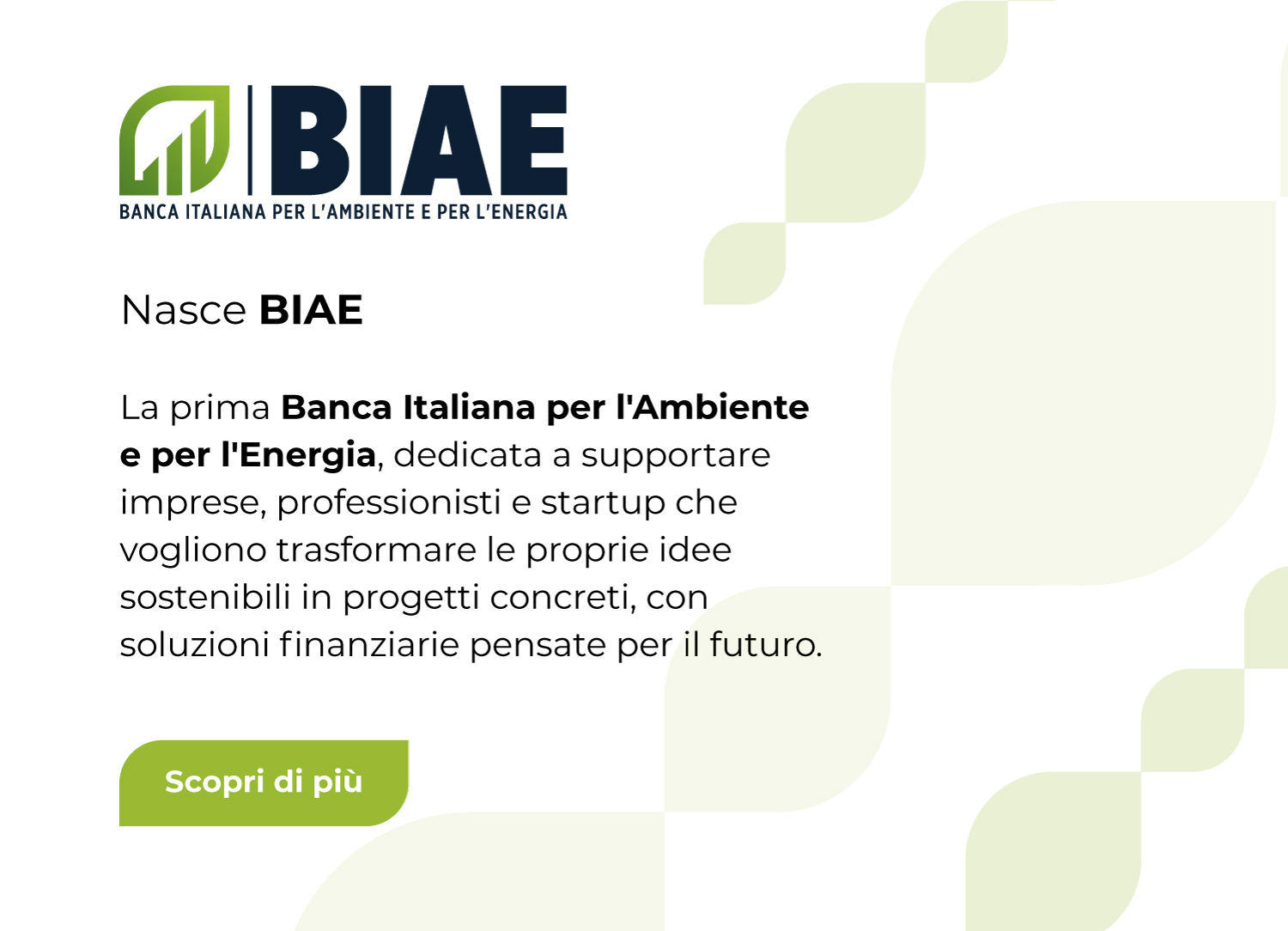 BIAE